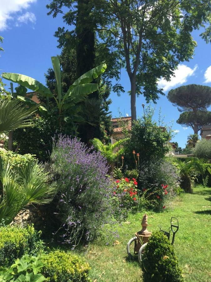 Edy House Apartment Castiglione In Teverina Exterior foto